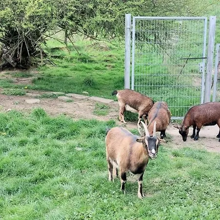 아파트 Ferienwohnung/monteurzimmer Auf Dem Bauernhof Mörlenbach