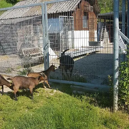 דירה Ferienwohnung/monteurzimmer Auf Dem Bauernhof *